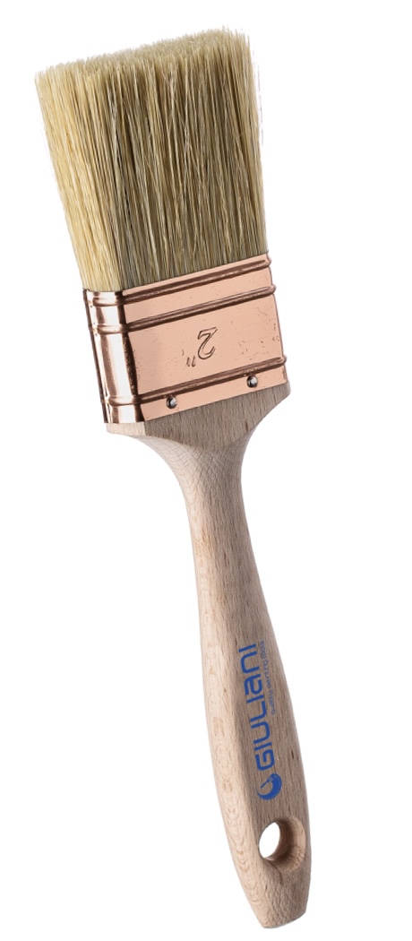 PENNELLESSA AMERICANA